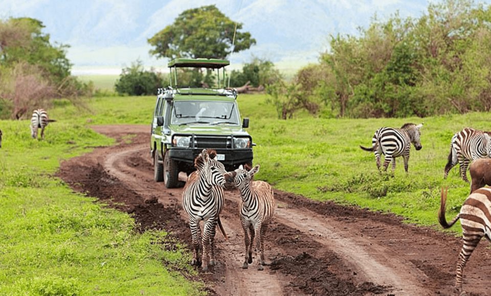 5 Days Rwanda Safari